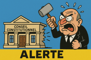 Pourquoi protéger la Cour constitutionnelle ?